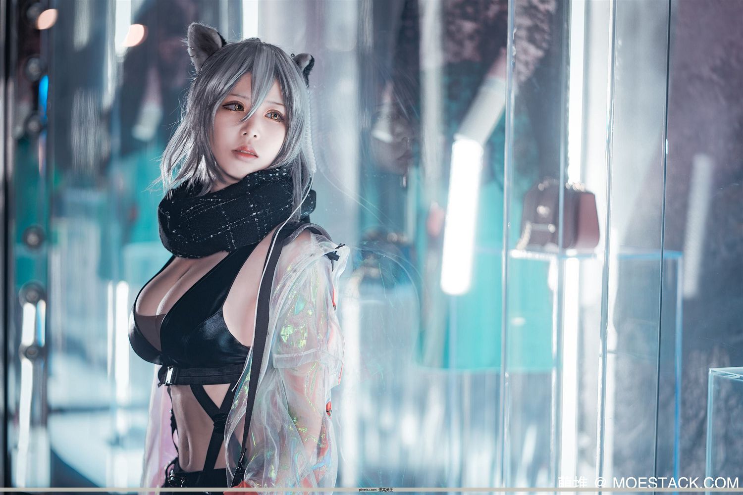 COSER Ůʦ_PhD – շ[20P]