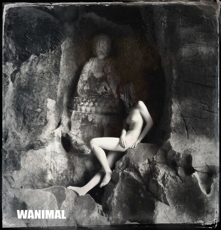 [100P] (ʮ) ڹ ͼ WANIMAL P.5